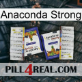 Anaconda Strong 12